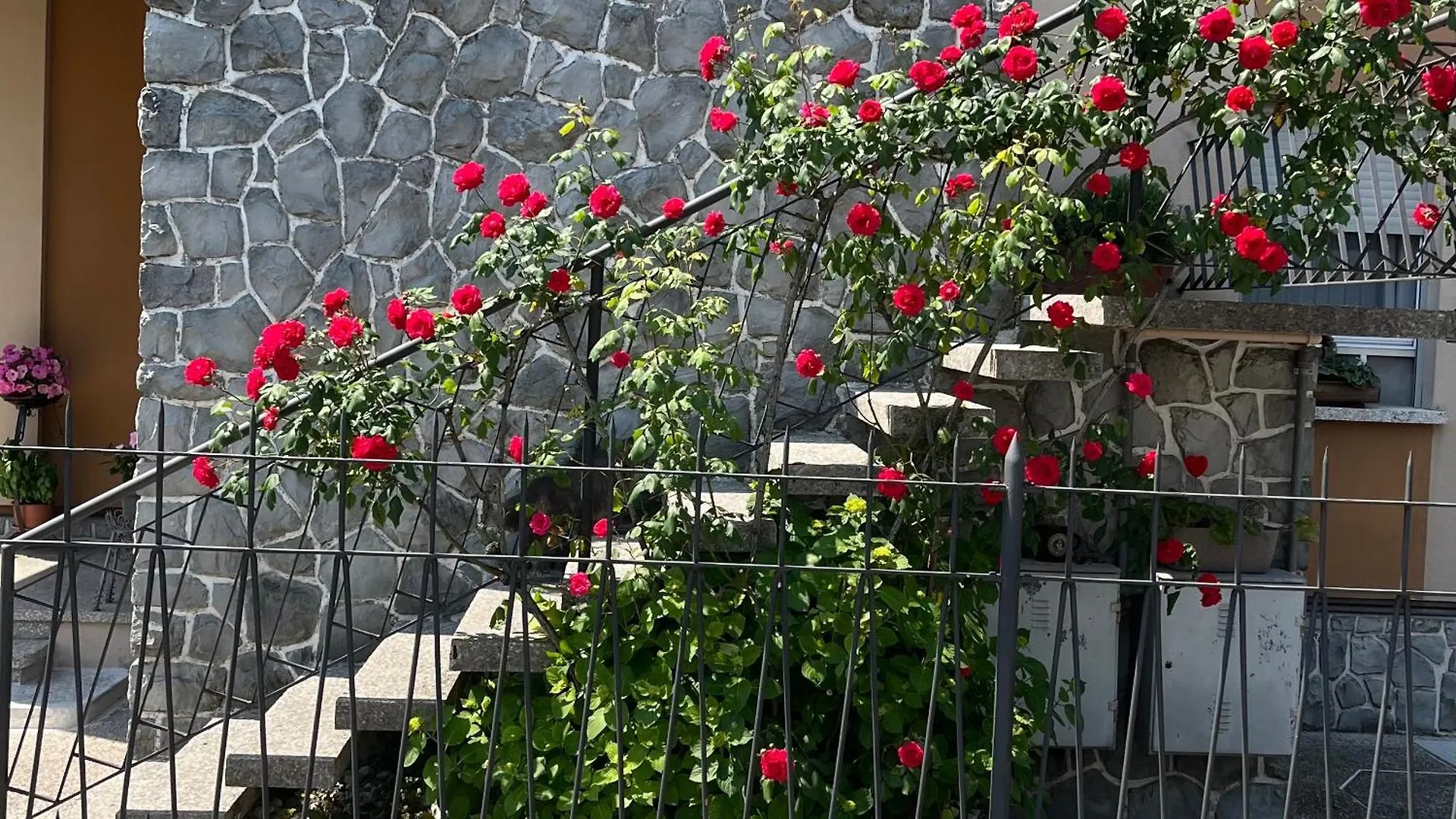 Casa Ines Lejlighed Conegliano Italien